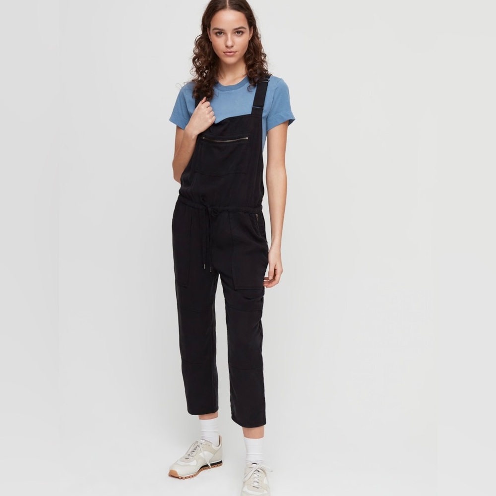 Aritizia Overalls (Small)